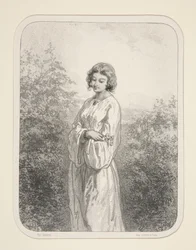 The Daisies