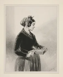 The Harmonica