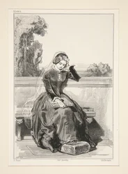 Rose of Tannebourg