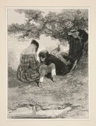 A Nest in a Wood