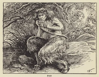 Pan