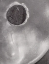 Hole in a shirt button