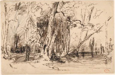 Flooding in the Forest of Île Séguin