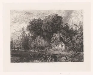 View of a House at the Edge of a Forest