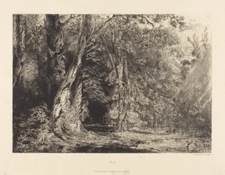 Seguin Island in Flood