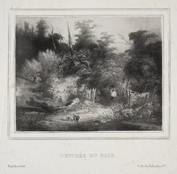 Landscapes: The Entrance of a Forest
