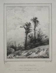 Landscapes: Young Elm Trees