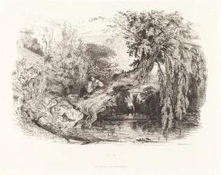 The Poacher