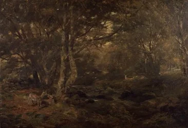 Through the Wood, Pont-y-Gytyn, North Wales
