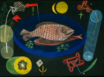 Around the Fish