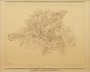 Fish in the Stream