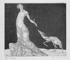 Flower and Animal