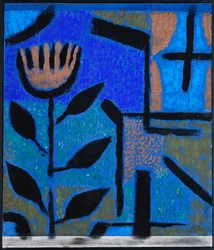 Night Flower