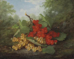 Still Life with Red and White Currants