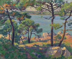 Pines on the Trieux River