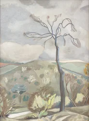 Autumn Landscape