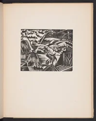 Garden Pond, Illustration from 