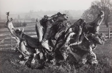 Laocoon, Carswall
