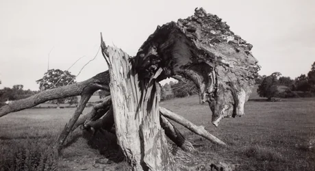 Monster Field, Carswall