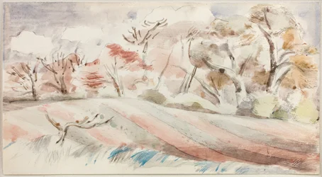 Spring Landscape