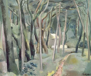 The Forest