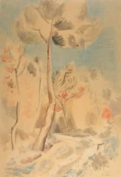 The Pine
