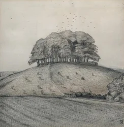 The Wood on the Hill