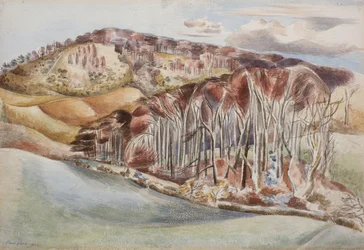 Wood and Hill