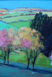 Teme Valley Blossom Close Up 2