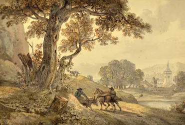 Landscape