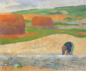 Seaweed Gatherer