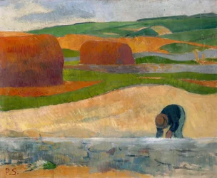 Seaweed Gatherer