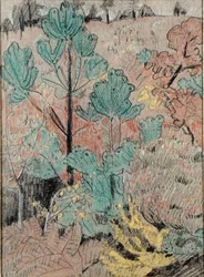Undergrowth