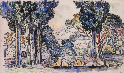Cypresses in Sainte-Anne Saint-Tropez