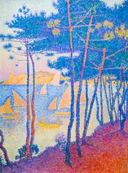 Sailing boats and pine trees
