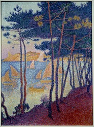 Sails and Pines
