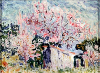 Spring in Provence