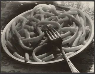 Plate of Noodles with Fork