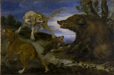 Boar Hunting