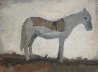 Donkey