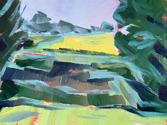 Vibrant Fields Landscape
