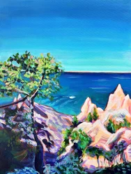 Vibrant Ocean Cliffs