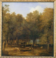 The Wood of La Haye, 1650