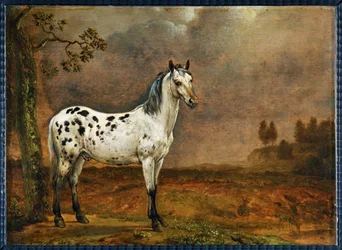 The Dappled Horse