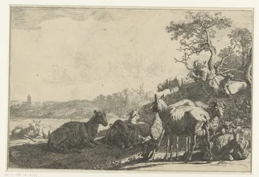 The Shepherd