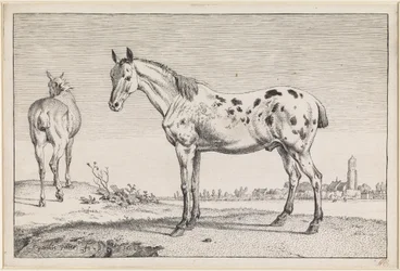The Cropped Horse