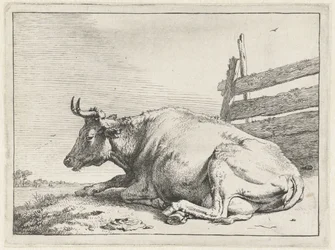 Lying Cow by a Fence