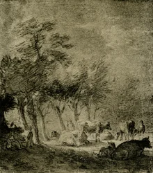 Pasture