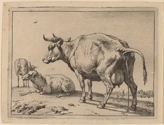 Pissing Cow