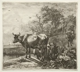 The Cowherd